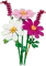 LEGO Botanicals - Kosmeen Vorschaubild