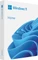 Microsoft Windows 11 Home Vorschaubild