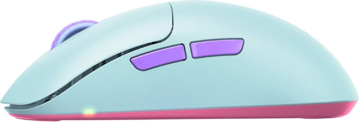 Xtrfy M8 Wireless Frosty Mint, USB