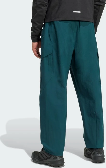 adidas Terrex Xploric Cargo Hose lang aurora ivy (Herren)