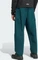 adidas Terrex Xploric Cargo Hose lang aurora ivy (Herren) Vorschaubild