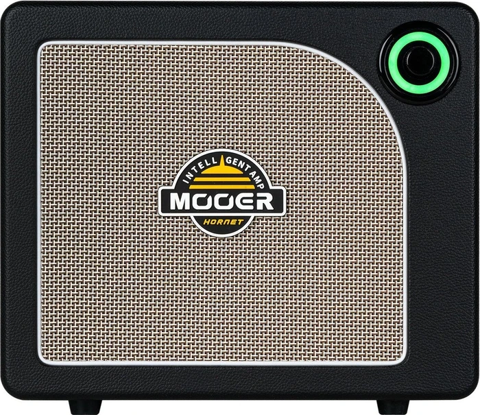 Mooer Hornet 15i