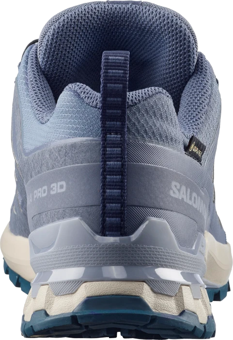 Salomon XA Pro 3D V9 GTX grisaille/tradewinds/spellbound (Damen)