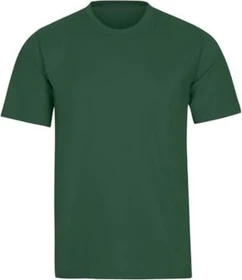 trigema Deluxe Baumwolle T-Shirt kurzarm efeu (Damen)