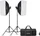 Godox Studio Kit MS300V-F