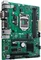ASUS Prime H310M-C (Intel 1151 v2) Vorschaubild