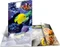 Herma Glossy Tiere Sammelmappe, A4, Fische Vorschaubild