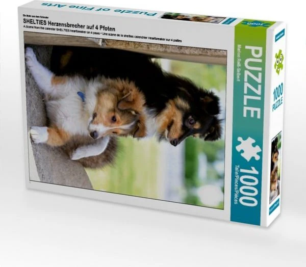 Calvendo Ein Motiv aus dem Kalender Shelties Herzensbrecher auf 4 Pfoten