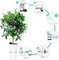 Xiaomi HHCC Mi Flower Care Max Sensor, Feuchtesensor (verschiedene Markenbezeichnungen) Vorschaubild