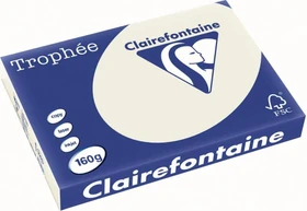 Clairefontaine Trophée Universalpapier matt hellgrau, A3, 160g/m², 250 Blatt