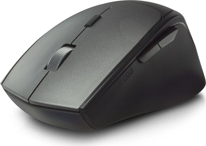 Ewent Dual-Connect Wireless Mouse grau/schwarz, USB