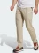 adidas Terrex Xperior Hose lang wonder beige (Herren) Vorschaubild