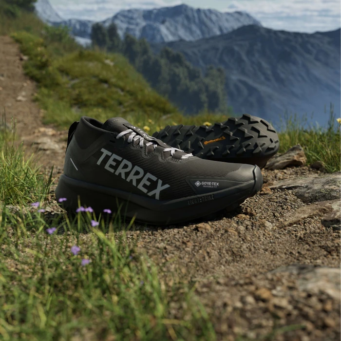 adidas Terrex Agravic GTX Trail core black/silver dawn/grey two (Damen)