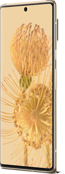 Google Pixel 6 Pro