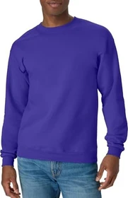 Hanes EcoSmart Fleece Sweatshirt violett