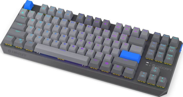 Endorfy Thock V2 TKL Wireless, PBT, grau, LEDs RGB, hot-swap, Endorfy YELLOW, USB/Bluetooth, US