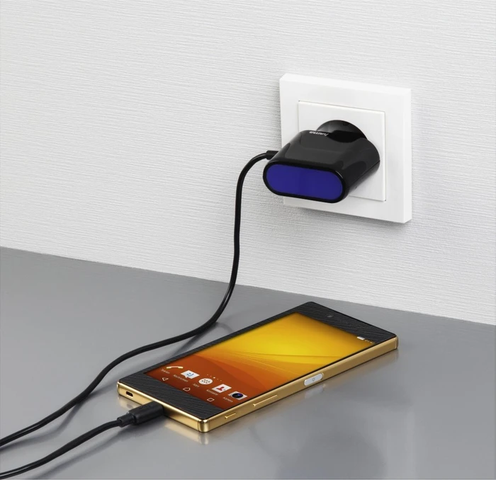 Hama Ladegerät Micro-USB 2.4A schwarz/blau