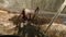 Elder Scrolls V: Skyrim - VR Edition (PSVR) (PS4) Vorschaubild
