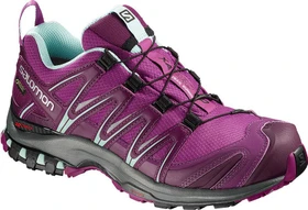 Salomon XA Pro 3D GTX hollyhock/dark purple/eggshell blue (Damen)