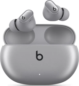 Apple Beats Studio Buds + silber