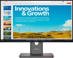 Lenovo ThinkVision P24QD-40, 23.8"