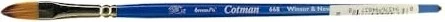 Winsor & Newton Series 668 Cotman Watercolour Brush Filbert 6mm