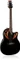 Ovation Elite Standard Vorschaubild