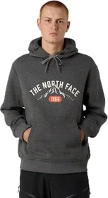 The North Face Varsity Grafik Hoodie tnf medium grey heather (Herren)