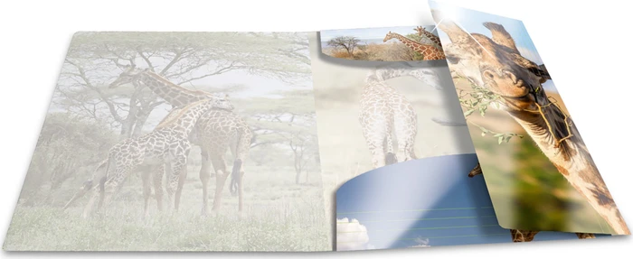 Herma Glossy Tiere Sammelmappe, A3, Giraffe