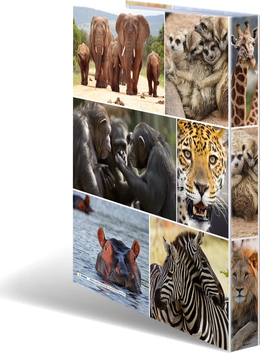 Herma 4D Ringbuch 4-Ring, 30mm, A4, Motiv Afrika Tiere