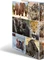 Herma 4D Ringbuch 4-Ring, 30mm, A4, Motiv Afrika Tiere Vorschaubild