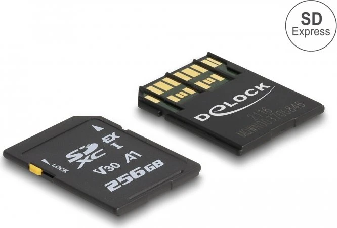 DeLOCK R858/W804 256GB, SD Express EX I