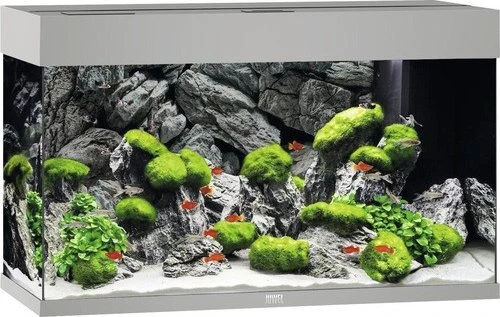 Juwel Rio 125 LED Aquarium