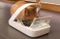 Sure Petcare SureFeed Microchip PetFeeder Futterautomat Vorschaubild