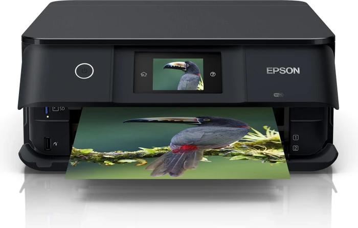 Epson Expression Photo XP-8500, Tinte, mehrfarbig