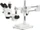 AmScope SM-4NTP Trinokulares Stereomikroskop (SM-4NTP-3PL)