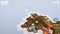 Dorfromantik (Download) (PC) Vorschaubild