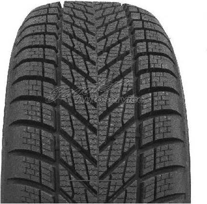 Dunlop Winter 205/55 R16 91H