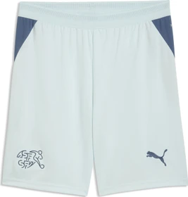 Puma FIFA WM 2026 Schweiz Auswärtsshorts sea glass/dark indigo (Herren)
