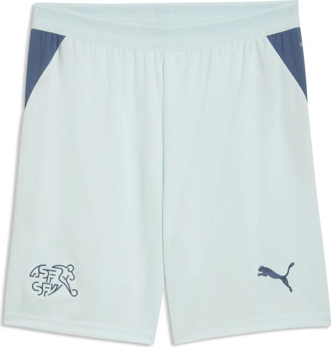 Puma FIFA WM 2026 Schweiz Auswärtsshorts sea glass/dark indigo (Herren)