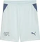 Puma FIFA WM 2026 Schweiz Auswärtsshorts sea glass/dark indigo (Herren) Vorschaubild