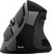 Trust Voxx Rechargeable Ergonomic Wireless Mouse, USB/Bluetooth Vorschaubild