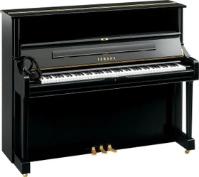Yamaha DU1 ENST