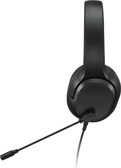 Lenovo H110