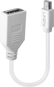 Lindy Adapterkabel Mini DisplayPort [Stecker] auf DisplayPort [Buchse] (41021)
