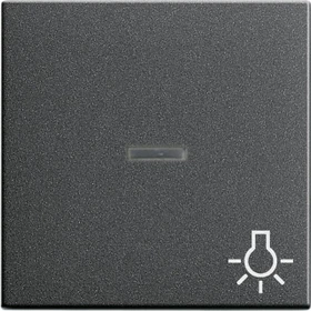 Gira System 55 Wippe mit Kontrollfenster und Symbol Licht, anthrazit