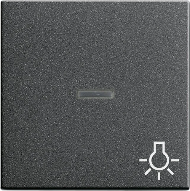 Gira System 55 Wippe mit Kontrollfenster und Symbol Licht, anthrazit