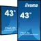 iiyama ProLite LH4354UHS-B1AG, 42.5" Vorschaubild