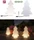 Paulmann Plug & Shine Motiv Tree LED warmweiß (94185)