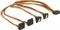 DeLOCK 15-Pin SATA Strom Stecker auf 4x 15-Pin SATA Strom Buchse, Adapterkabel, 4x gewinkelt, 50cm Vorschaubild